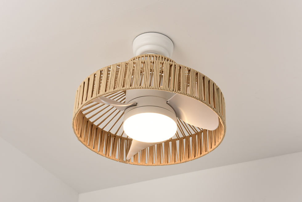 18W LED 20 inches Nylon ceiling fan with light(CF20211202W)