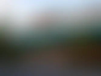 Sweet Tomatoes - "I'll Be Ripe Back" - A Promise Kept!