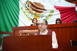 PROPONE MARIBEL CERVANTES CREAR LEY DE RESPONSABILIDAD VIAL Y PROTECCIÓN CONTRA DAÑOS POR INFRAESTRUCTURA PÚBLICA