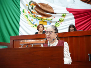 PROPONE MARIBEL CERVANTES CREAR LEY DE RESPONSABILIDAD VIAL Y PROTECCIÓN CONTRA DAÑOS POR INFRAESTRUCTURA PÚBLICA