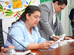 SOLICITA SORAYA BOCARDO SER DECLARADA DIPUTADA INDEPENDIENTE ANTE LA LXV LEGISLATURA