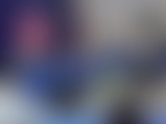 ENCABEZA CECILIA PATRÓN INSTALACIÓN DEL SISTEMA PAN EN TLAXCALA