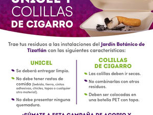 IMPULSA SMA CAMPAÑA DE RECICLAJE DE UNICEL Y COLILLAS DE CIGARRO