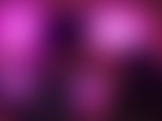 TLAXCALTECAS CELEBRAN CON MUCHO ENTUSIASMO EL DÍA DEL AMOR Y LA AMISTAD