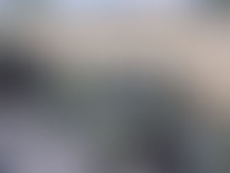 UN MUERTO Y HERIDOS DEJA ROBO FRUSTRADO AL TREN