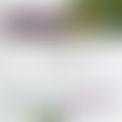 INICIARÁN ESTUDIOS TÉCNICOS Y AMBIENTALES EN PREDIO VINCULADO A PROYECTO ESTRATÉGICO IMPULSADO POR EL GOBIERNO DE MÉXICO
