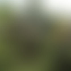 GOBIERNO ESTATAL HA INVERTIDO 9.9 MDP PARA RECUPERAR ATLTZAYANCA TRAS INCENDIO DE 2025