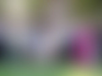 RECONOCE GOBERNADORA LORENA CUÉLLAR A MADRES TRABAJADORAS DEL PODER JUDICIAL