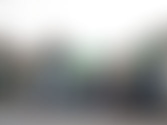 ENCABEZA ULISES PATIÑO EL PVEM EN CHIAUTEMPAN