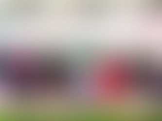 CONMEMORA CONGRESO EL DÍA DE LA BANDERA