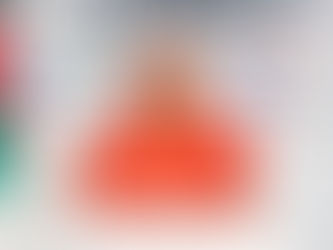 "DISCRIMINATORIO QUE ARMENTA PRETENDA RECONOCER INFANCIAS TRANS HASTA LOS 18 AÑOS": CLEMENTE