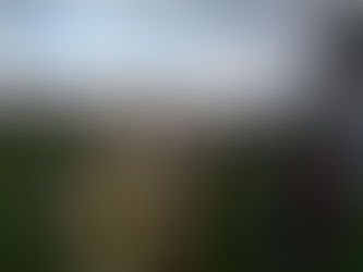 TEMPORAL DERRIBA ENLONADO SOBRE FELIGRESES