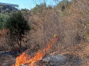 EXHORTA SSC A EVITAR HACER QUEMAS DE TERRENOS DE LABOR  