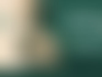 INTERCEPTA GN ENVÍO CON 11 MIL 760 TABLETAS DE MEDICAMENTO CONTROLADO, CON ALERTA SANITARIA