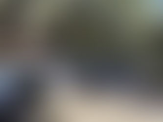 REFUERZAN OPERATIVOS CONTRA LA TALA ILEGAL EN TLAXCALA; PROFEPA REPORTA MÁS DE 115 ACCIONES Y 631 M³ DE MADERA ASEGURADA