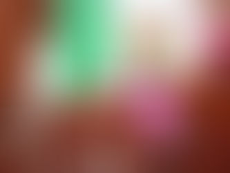 PROPONE LORENA RUÍZ GARANTIZAR PENSIÓN ALIMENTICIA RETROACTIVA DESDE EL NACIMIENTO