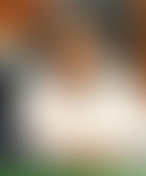 ENFATIZA ANA LILIA RIVERA EL PAPEL DE LA EDUCACIÓN EN LA TRANSFORMACIÓN DE MÉXICO Y TLAXCALA