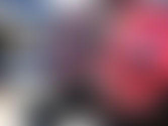 DETIENE VIALIDAD DEL ESTADO A ASALTANTE