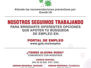 BRINDA SEPUEDE, A TRAVÉS DEL SNE, ASISTENCIA VIRTUAL A TLAXCALTECAS EN BUSCA DE EMPLEO