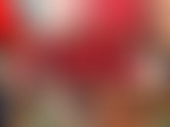 PRI TLAXCALA LLAMA A PRIVILEGIAR RESULTADOS SOBRE DISCURSOS Y REFRENDA SU TRABAJO CERCANO A LA CIUDADANÍA