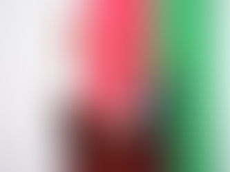 DESARROLLAN EN CONGRESO DEL ESTADO FORO SOBRE CAMBIO CLIMÁTICO