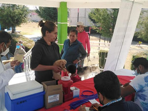 REALIZARÁ SECTOR SALUD CAMPAÑA DE VACUNACIÓN ANTIRRÁBICA CANINA Y FELINA