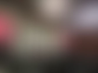 CÁMARA DE DIPUTADOS APRUEBA CREACIÓN DEL CENTRO NACIONAL DE IDENTIFICACIÓN HUMANA