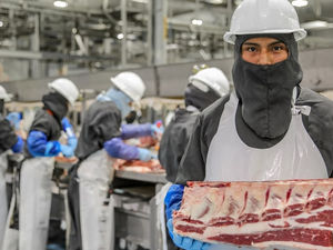 “A NOVIEMBRE PASADO, EXPORTACIONES AGROALIMENTARIAS MEXICANAS SUPERAN RESULTADOS DEL 2021”: SADER