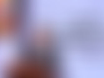 PRESENTÓ SEGOB LÍNEAS ESTRATÉGICAS DE SEGURIDAD