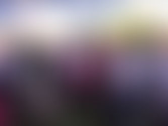 EN IXTACUIXTLA, MARIO DELGADO RINDE PROTESTA A COMITÉS EN DEFENSA DE LA 4T