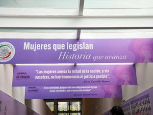 ANA LILIA RIVERA, PROTAGONISTA EN EL LIBRO Y GALERÍA DEL SENADO “MUJERES QUE LEGISLAN, HISTORIA QUE AVANZA”