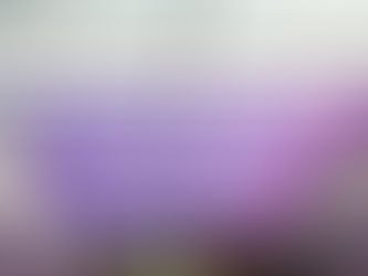 ANA LILIA RIVERA, PROTAGONISTA EN EL LIBRO Y GALERÍA DEL SENADO “MUJERES QUE LEGISLAN, HISTORIA QUE AVANZA”