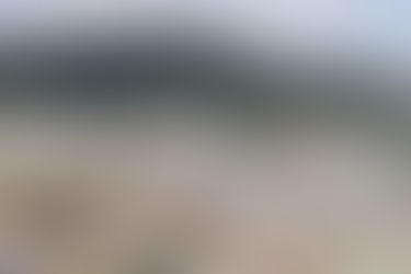 GOBIERNO DEL ESTADO INICIA CLAUSURA DE TIRADEROS DE PANOTLA Y HUAMANTLA