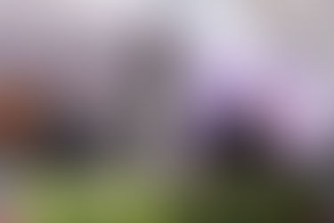 "CUMPLIMOS CON CUIDAR LA PAZ DE TLAXCALA”; INAUGURA GOBERNADORA INSTALACIONES DE LA SSC Y DE LA ACADEMIA DE FORMACIÓN POLICIAL