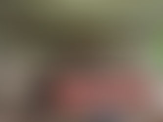 EMBARGA GOBIERNO DE MÉXICO 120 ANIMALES SIN DOCUMENTACIÓN EN OAXACA