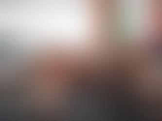 APRUEBAN DIPUTADAS Y DIPUTADOS PROGRAMA LEGISLATIVO