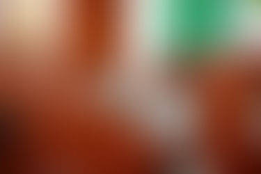 PROPONE MASTRANZO CORONA REFORMA INTEGRAL PARA ATENCIÓN DIFERENCIADA DE LA DIABETES EN TLAXCALA