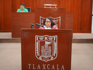PRESENTA GABRIELA HERNÁNDEZ INICIATIVA PARA SANCIONAR QUEMA ILEGAL DE VEGETACIÓN Y TERRENOS EN TLAXCALA