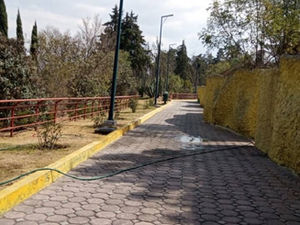 ABRE COORDINACIÓN GENERAL DE ECOLOGÍA INVESTIGACIÓN POR INCIDENTE EN ZOOLÓGICO DE TLAXCALA