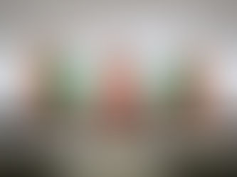 AVALA CONGRESO DEL ESTADO REFORMAS, ADICIONES Y DEROGACIONES A LA CARTA MAGNA EN MATERIA DE SIMPLIFICACIÓN ORGÁNICA