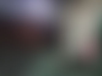 APRUEBAN DIPUTADOS FEDERALES FACULTAR A LA GUARDIA NACIONAL PARA PREVENIR DELITOS EN ÁREAS NATURALE