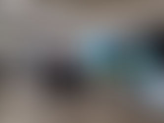 LLEGA TEMPORADA DE LUCIÉRNAGAS 2024 A LAS PANTALLAS DIGITALES DEL AEROPUERTO INTERNACIONAL DE LA CIUDAD DE MÉXICO