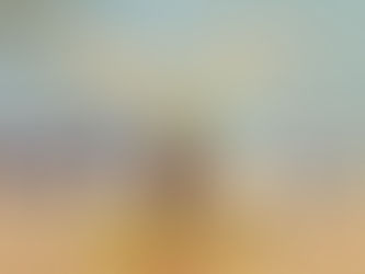 PRESENTAN AL “TIAXCA GUERRERO JAGUAR” QUE DARÁ IDENTIDAD AL COBAT TLAXCALA