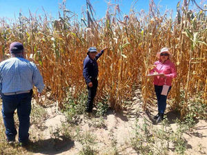 GOBIERNO ESTATAL MANTIENE ATENCIÓN A PRODUCTORES AFECTADOS POR SEQUÍA