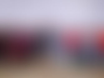 PRI, PRIMER PARTIDO EN CAPACITARSE EN MATERIA DE “LA NUEVA REDISTRITACIÓN LOCAL DEL ESTADO DE TLAX"