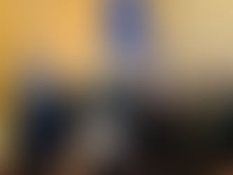 “VA POR MÉXICO” DEFIENDE DEMOCRACIA MEXICANA, ANTE LA OEA: ALEJANDRO MORENO