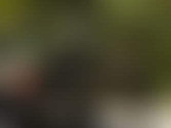 APRUEBA SENADO, EN LO GENERAL Y EN LO PARTICULAR, NUEVA LEY ORGÁNICA DE LA ARMADA DE MÉXICO