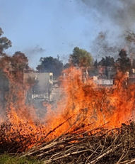 ATIENDEN PROTECCIÓN CIVIL, POLICÍA MUNICIPAL DE TLAXCALA Y BOMBEROS INCENDIO DE PASTIZALES EN SAN SEBASTIÁN ATLAHAPA