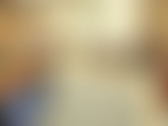 DEFINE INE USO DE APP PARA LA CONSTITUCIÓN DE NUEVOS PARTIDOS A NIVEL LOCAL