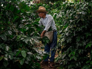 MX, EU Y CANADÁ INTERCAMBIAN INFORMACIÓN PARA ENFRENTAR EFECTOS DEL CAMBIO CLIMÁTICO EN AGRICULTURA